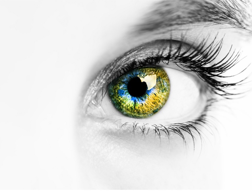 Optimed Sağlık Grubu - Sağlığınız Güvende