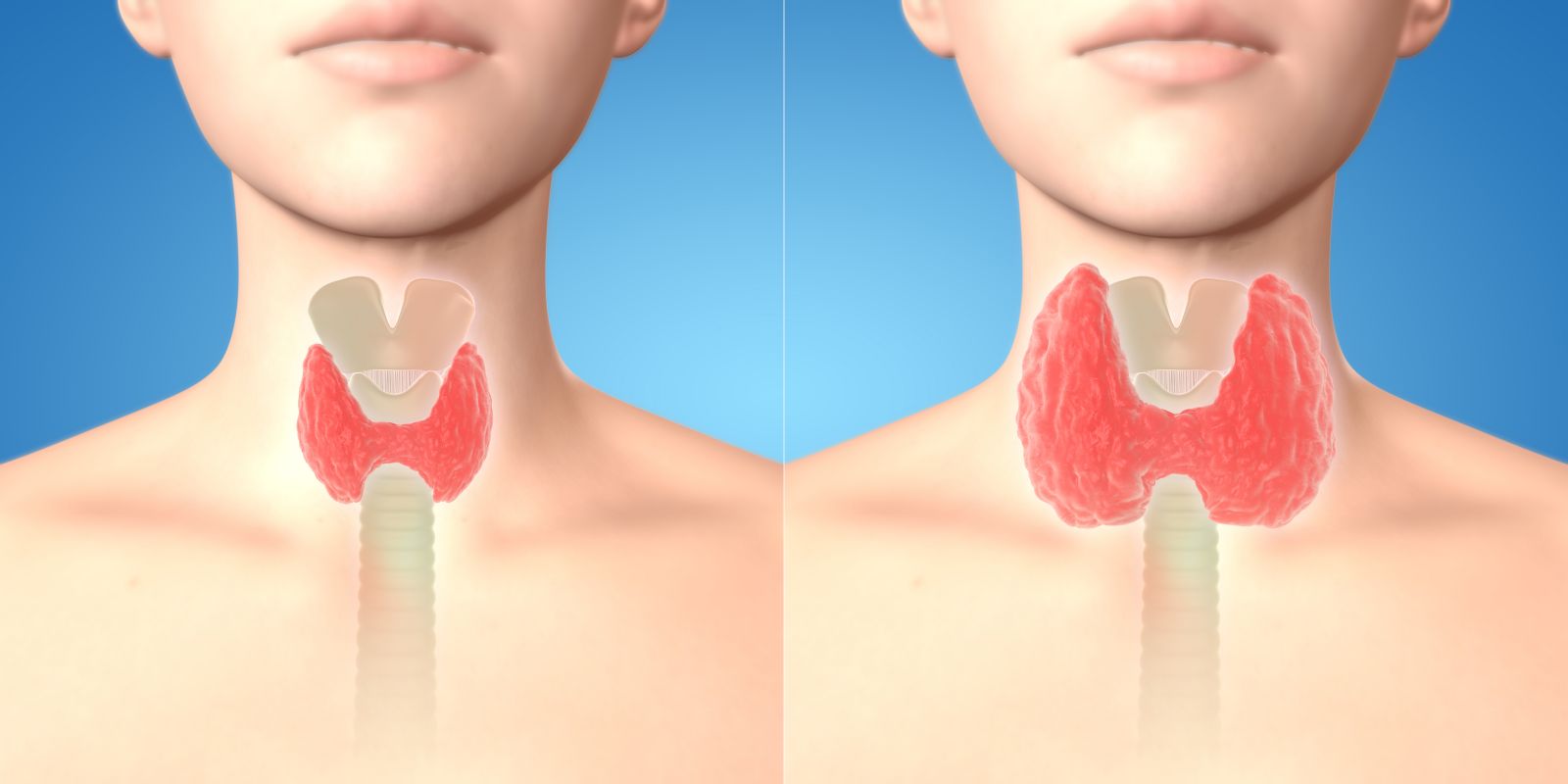 Optimed Sağlık Grubu - Sağlığınız Güvende Optimed Sağlık Grubu - Sağlığınız Güvende