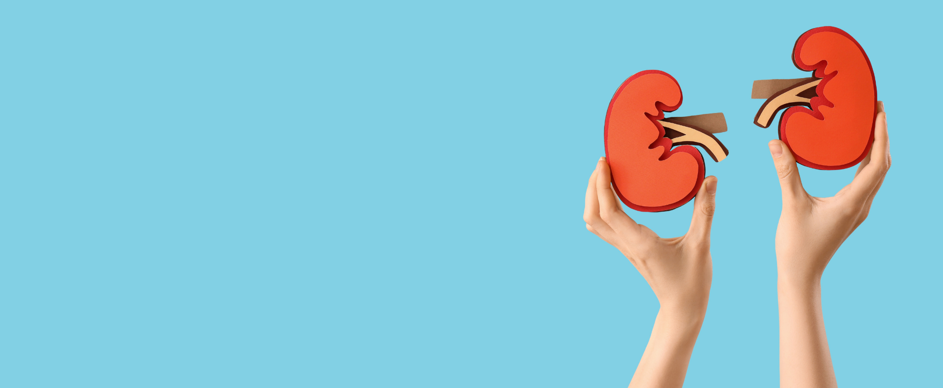 Optimed Sağlık Grubu - Sağlığınız Güvende