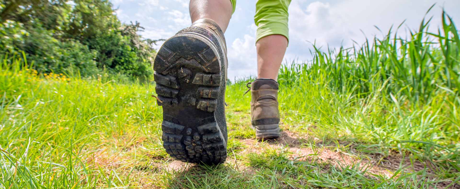 Optimed Sağlık Grubu - Sağlığınız Güvende